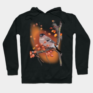 Cute Eurasian Bullfinch Bird with berries Hoodie